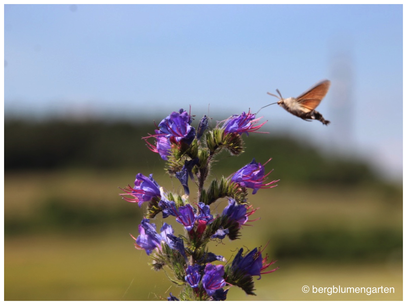 Hohlen Felsmassive Und Eine Raubritterburg Bei Pommelsbrunn