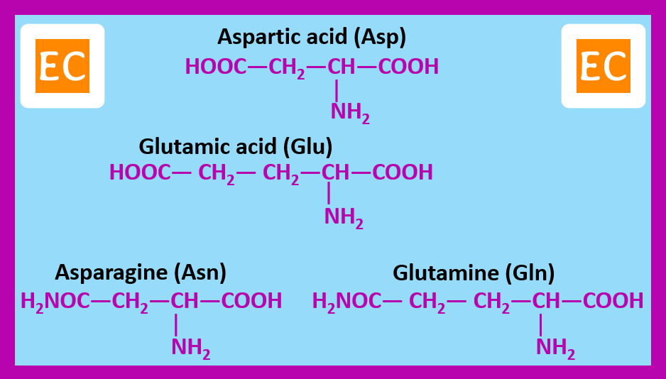 ELEMENTAL CHEMISTRY Essential Amino Acids