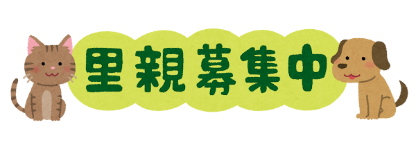 「里親募集中」のイラスト文字