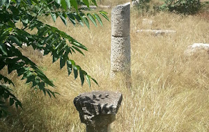 Παντού βρωμιά και σκουπίδια στον Πειραιά, ακόμη και μέσα στους αρχαιολογικούς χώρους του! Το μόνο έργο που προχωρά είναι η μόνιμη διχοτόμηση-καταστροφή του Πειραιά και της αρχαίας πολιτιστικής κληρονομιάς του από το τραμ… Παντού βρωμιά και σκουπίδια στον Πειραιά, ακόμη και μέσα στους αρχαιολογικούς χώρους του! Το μόνο έργο που προχωρά είναι η μόνιμη διχοτόμηση-καταστροφή του Πειραιά και της αρχαίας πολιτιστικής κληρονομιάς του από το τραμ…