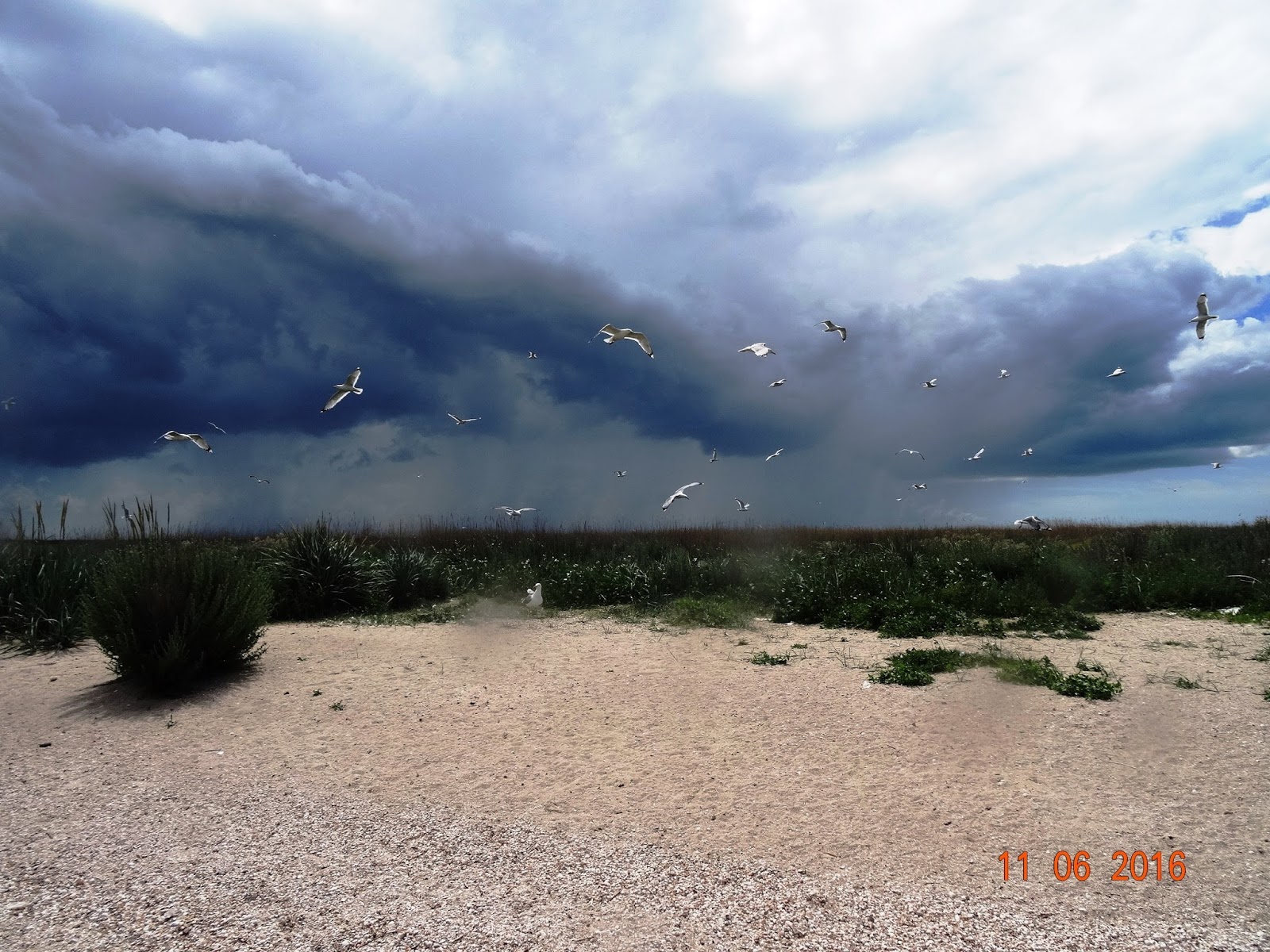 Ейск остров семи ветров