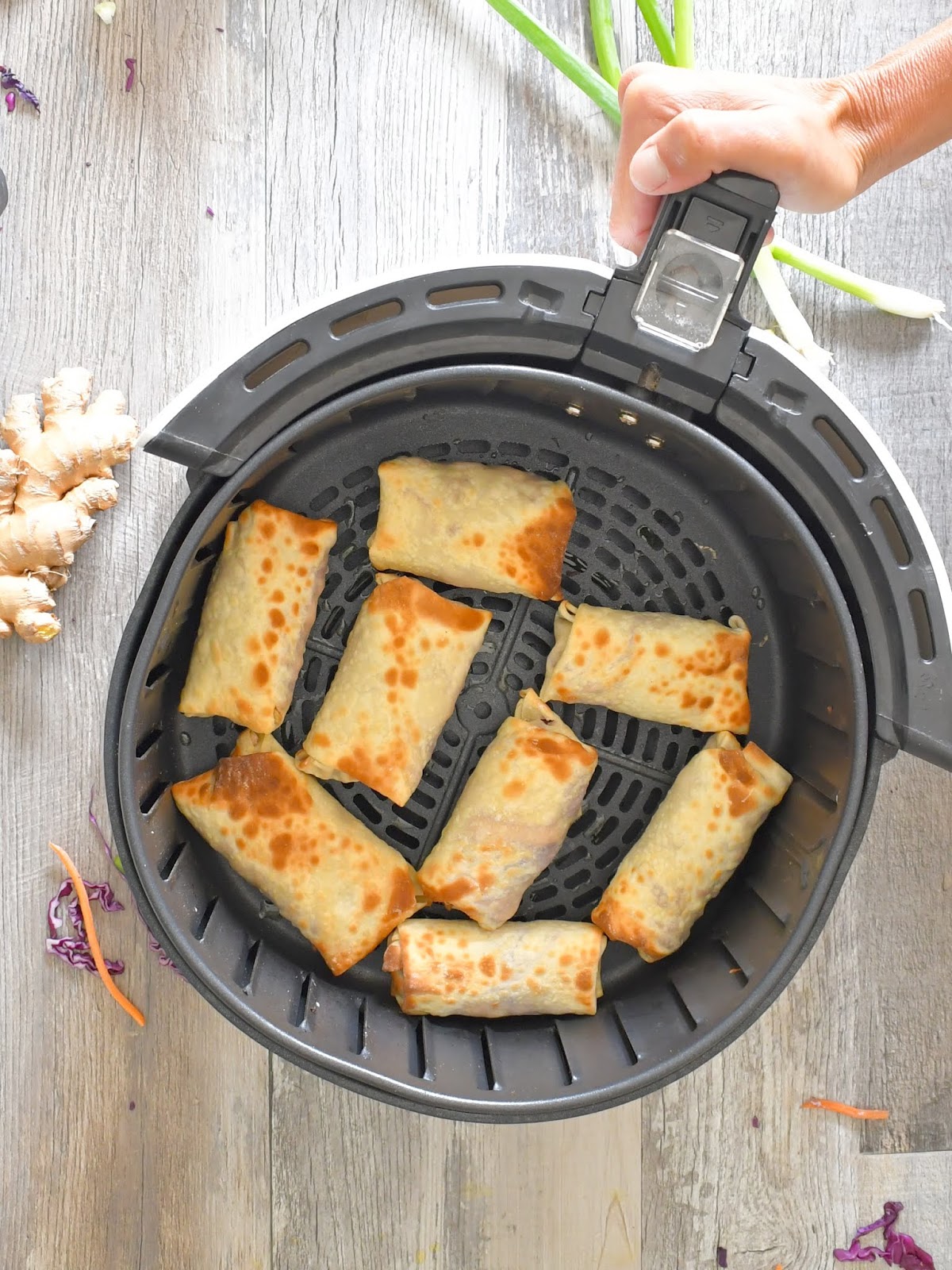 Air Fried Vegetarian Tofu Egg Rolls Word of Recipes