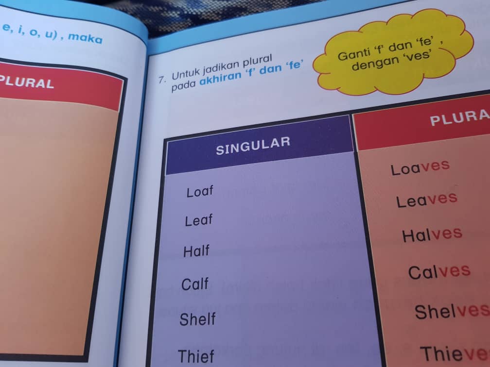 Anak Saya Bijak Jom Belajar Singular Plural Nouns