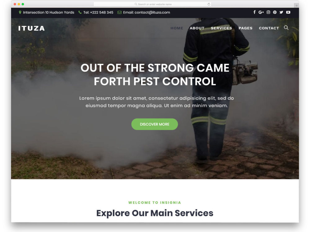 free pest control website templates download free pest control website templates download