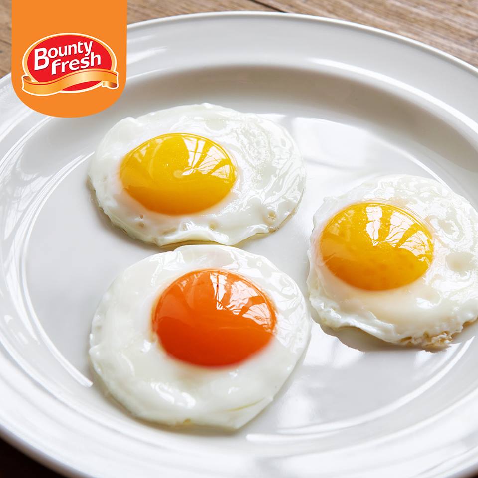 My Miss Macy Bounty Fresh Eggs Raising the Golden Standard of Eggs in