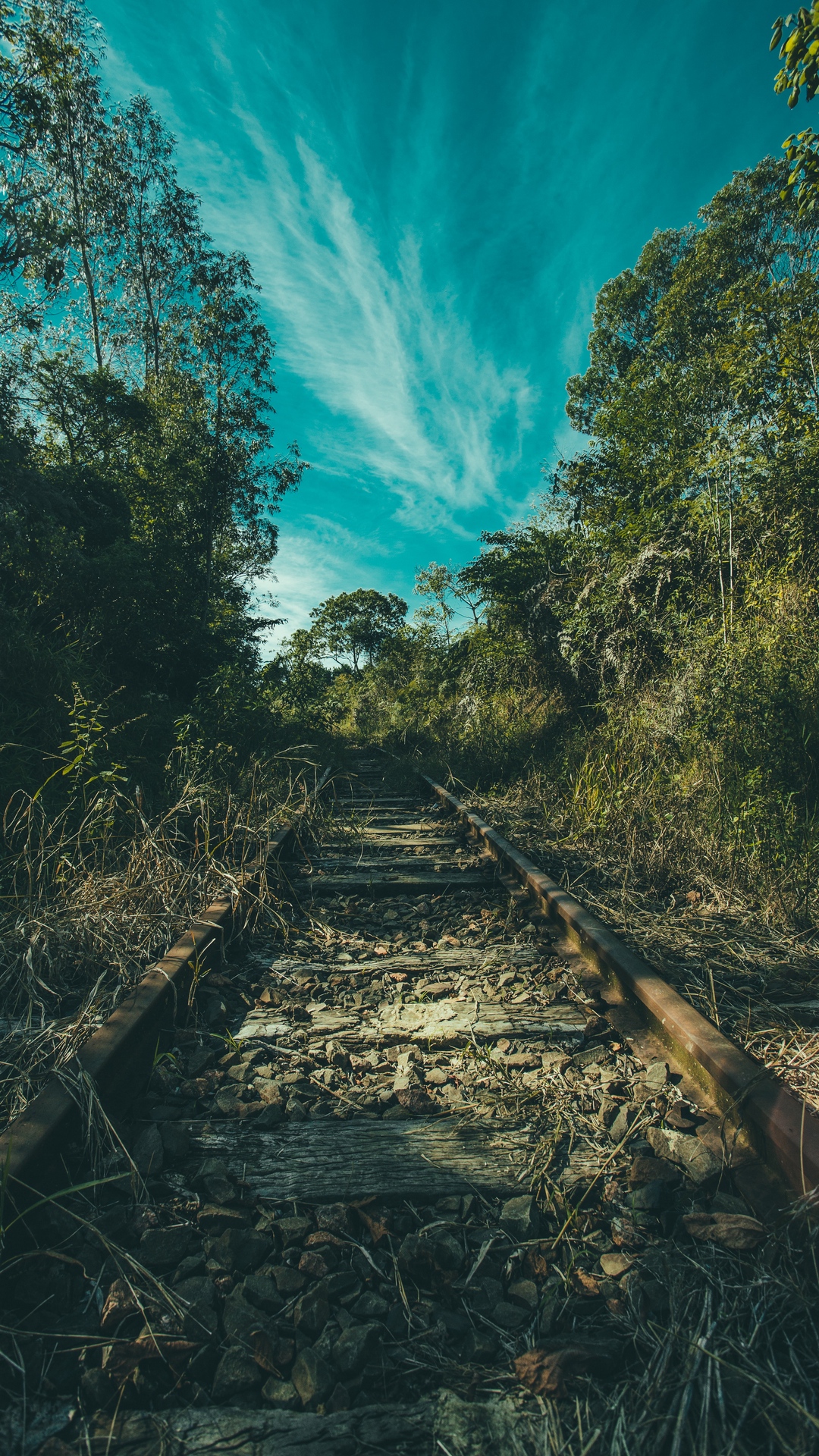 Abandoned Railway Tracks