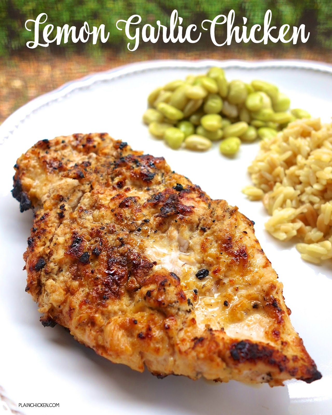 Lemon Garlic Marinade Plain Chicken