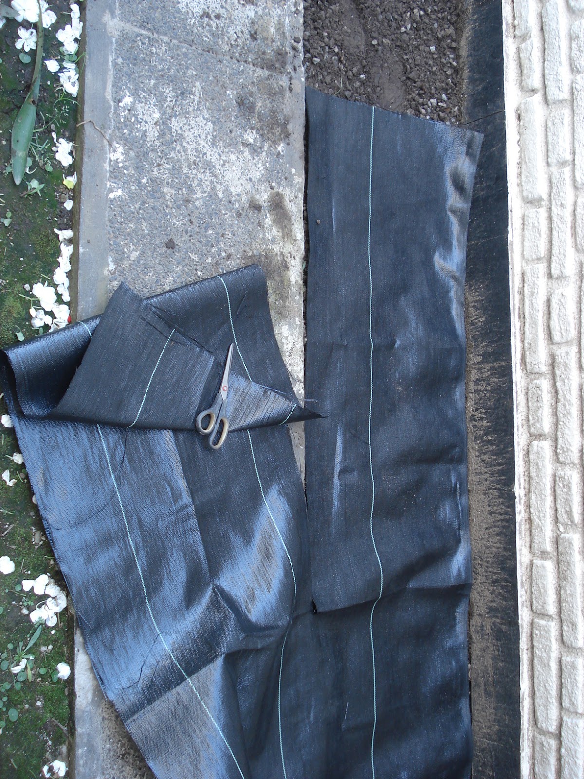 Reverdir **JARDINERIA Y PAISAJISMO**: GEOTEXTIL en jardines secos