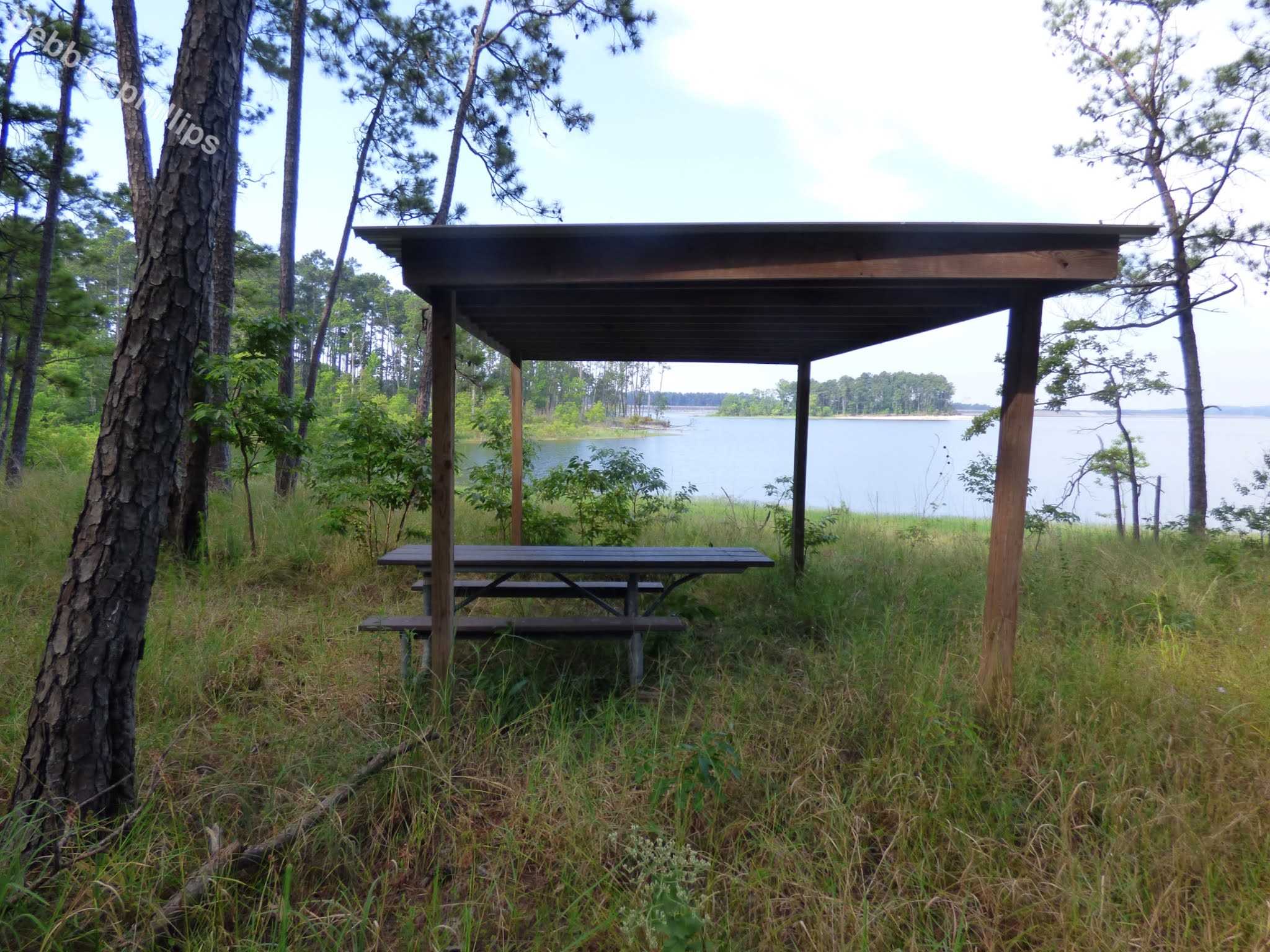 DebbieCPhillipsPhotography Twin Dikes Park Campground