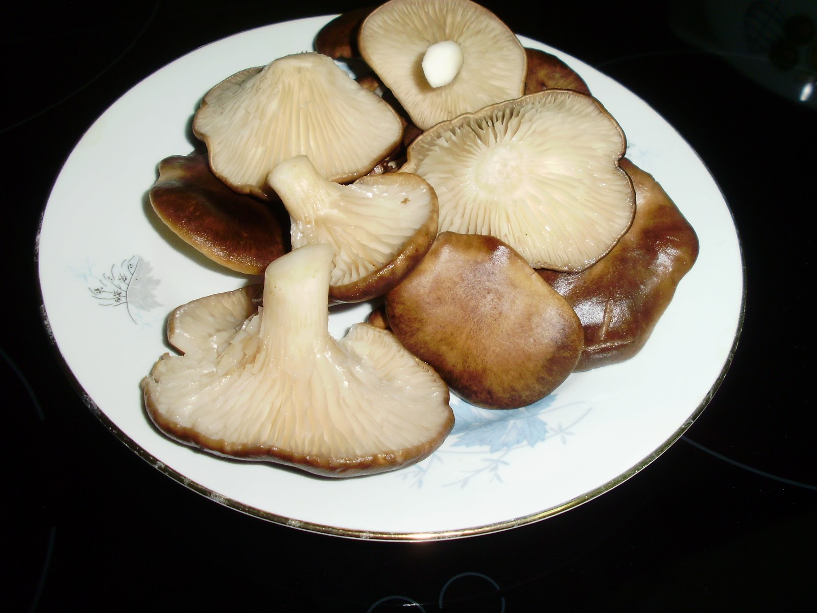 GUISO DE SETAS DE CARDO Palentina