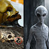 5 Misteriosos restos mortais encontrados - ossos de vampiros, bruxas e aliens