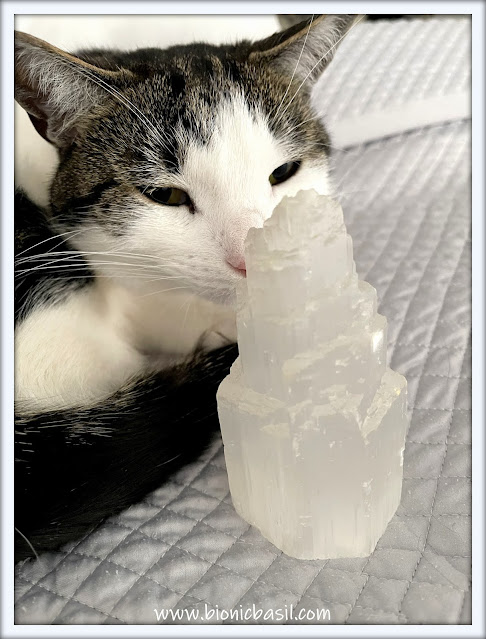 Mandalas on Monday ©BionicBasil® Colouring With Cats Mandala #123 Melvyn Inspecting the Selenite Tower