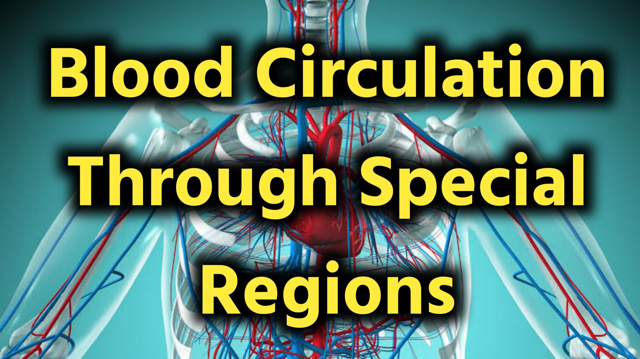Blood Circulation Through Special Region