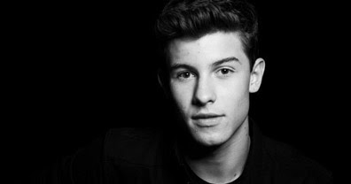 Lirik dan Terjemah | Stitches - Shawn Mendes ~ Let's start to sing