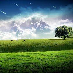 ipad wallpapers background hd backgrounds grass nature desktop excellent stunningmesh pc field dream awesome windows funny sky hinh nen plus