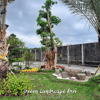 tukang taman, jasa taman pembuatan taman, jasa tukang taman, jasa pembuatan taman, tukang taman terdekat, membuat taman minimalis, tukang taman murah, tukang taman kudus, tukang taman pondok indah, buat taman minimalis, tukang taman lebak bulus, membuat taman mini, jasa taman rumah, harga pembuatan taman relief, bikin taman minimalis, jasa vertical garden, tukang kolam ikan koi, jasa pembuatan vertical garden, biaya pembuatan kolam minimalis per meter, tukang tanaman hias terdekat, tukang taman minimalis, tukang taman alam sutera, biaya pembuatan taman dan kolam minimalis, tukang kolam minimalis, biaya pembuatan taman, jasa buat taman, tukang taman vertikal, jasa desain taman, harga pembuatan taman, jasa taman minimalis, buat taman mini, biaya pembuatan kolam ikan minimalis, jasa pembuatan kolam minimalis, harga borongan taman 2020, jasa perawatan taman, harga taman per meter 2019, kontraktor landscape, tukang taman parung panjang, jasa pembuatan kolam ikan minimalis, harga borongan taman per m2, jasa bikin taman, jasa pembuatan taman minimalis, tukang taman vertical garden, harga jasa pembuatan taman per m2, tukang taman profesional, jasa taman vertikal, jasa landscape, tukang kolam koi, harga jasa pembuatan taman, tukang taman landscape, kontraktor taman, tukang taman rumah, tukang taman bsd city, jasa pembuatan taman rumah, landscape taman depan rumah, biaya membuat taman minimalis, jasa taman murah, ahli taman, harga pembuatan taman per m2, harga bikin taman per meter, tukang taman kebon jeruk, pembuatan taman minimalis, pembuatan taman rumah, tukang taman setiabudi, bikin taman mini, harga taman per meter, harga borongan taman 2019, tukang rumput gajah mini, biaya pembuatan taman minimalis, tukang rumput bsd, tukang buat kolam ikan koi, jasa desain taman rumah, jasa bikin kolam koi, jasa tanam rumput, harga jasa desain landscape, tukang bikin kolam ikan koi, jasa pembuatan taman dan kolam ikan, tukang taman martapura, tukang taman citraland, harga buat taman per meter, tukang tanaman hias, jasa kolam ikan minimalis, jasa pasang rumput gajah mini, biaya pembuatan vertical garden, membuat taman vertikal, biaya bikin taman, membuat taman rumah, jasa taman terdekat, jasa tanam rumput gajah mini, tukang rumput taman, jasa pembuatan taman murah, harga pembuatan kolam ikan minimalis, jasa pembuatan kolam ikan koi terdekat, rincian biaya pembuatan taman, jasa pembuatan taman vertikal, tukang taman cilebut, jasa buat taman rumah, tukang taman lenteng agung, tukang taman condet.