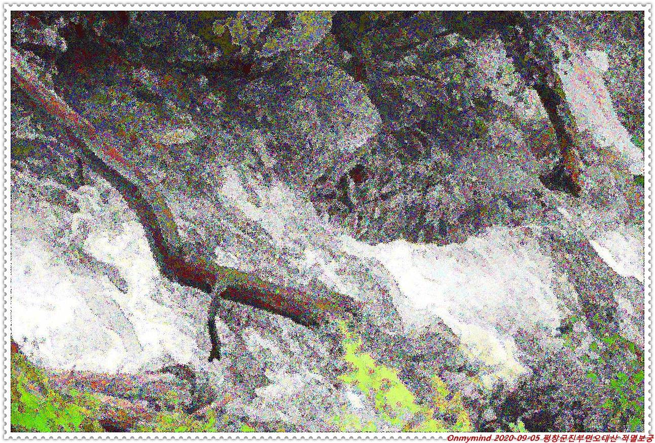 오대산 적멸보궁 오대산 적멸보궁