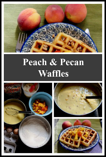 Chunks of ripe peaches and chopped pecans flavor these whole grain waffles. Peach and Pecan waffles are perfect for a summer breakfast or brunch.