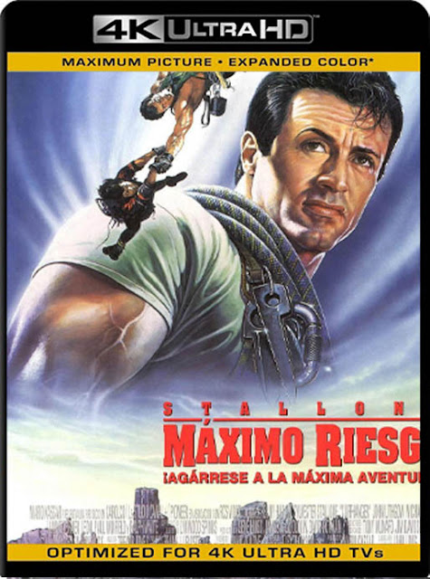 Riesgo Total (1993) 4K 2160p UHD [HDR] Latino [GoogleDrive]