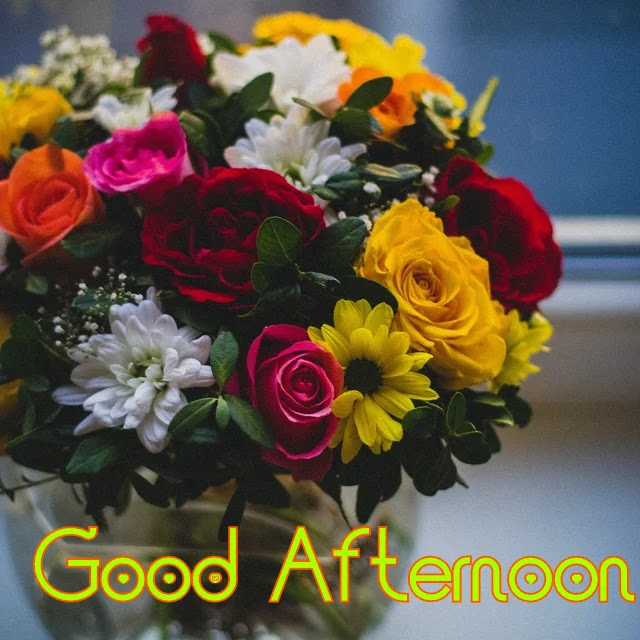 Good Afternoon HD Image Good Afternoon HD Image