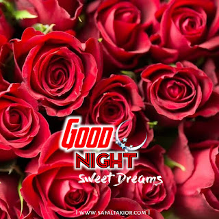 love flower night rose flower good night images