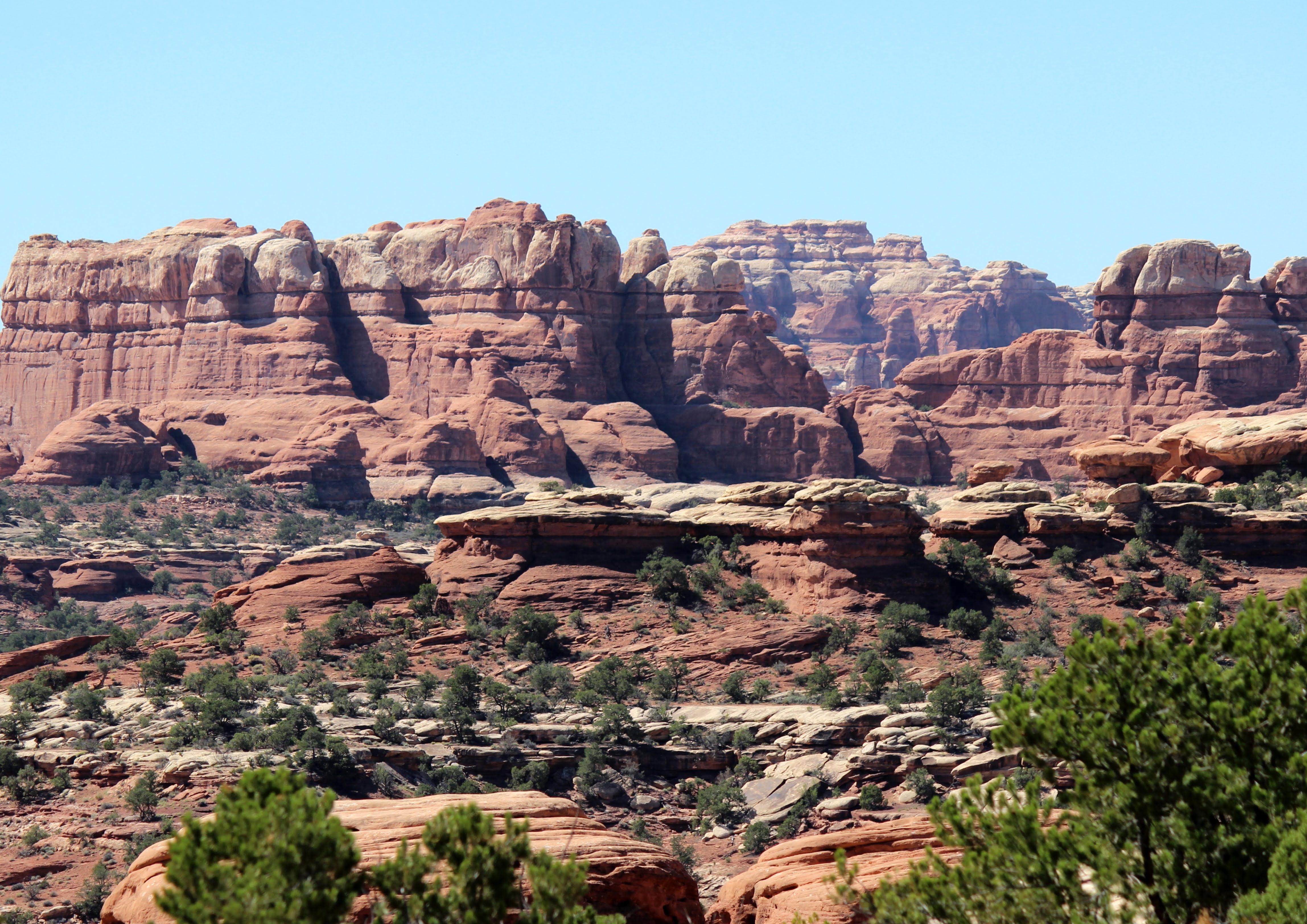 To Behold the Beauty 1/1/14 2/1/14