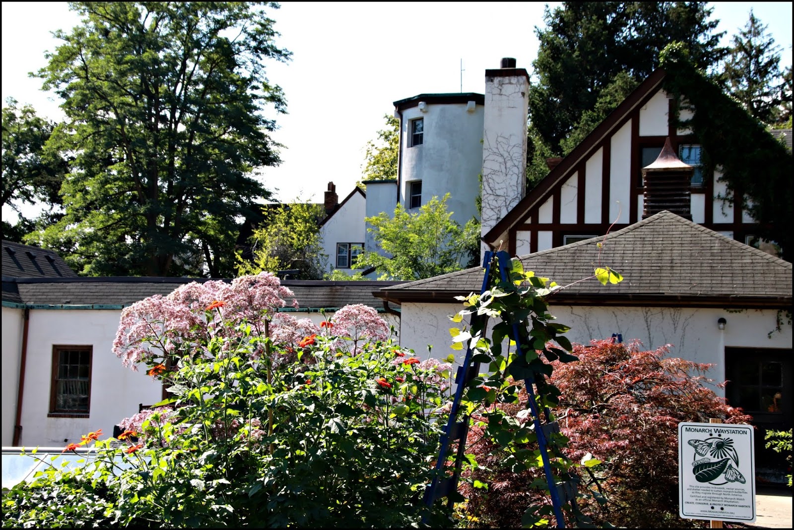 Through Carol's Lens Cranbrook House and Gardens