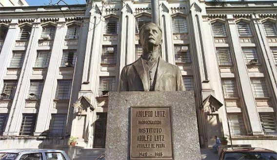 Grupo do Bem Estar e da Felicidade : #COVID19 #COVI #Coronavírus #