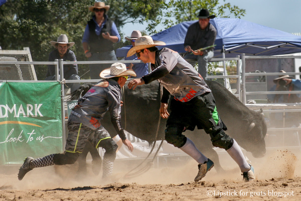 Lipstick for Goats: Braidwood Rodeo - Ride 'em Cowboy!