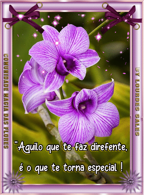 oie_overlay%2B%25281%2529.gif