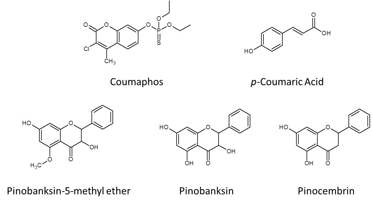 The Homestead Laboratory Honey and Bee Nutrition