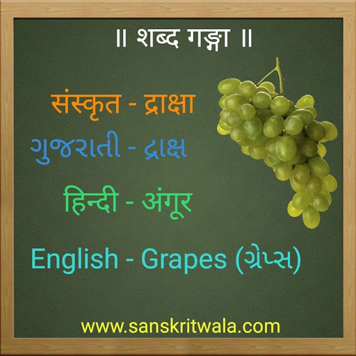 Sanskritwala Fruits Names in Sanskrit