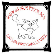 Cat Lovers Challenges