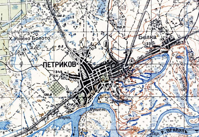 Копцевичи петриковский район карта