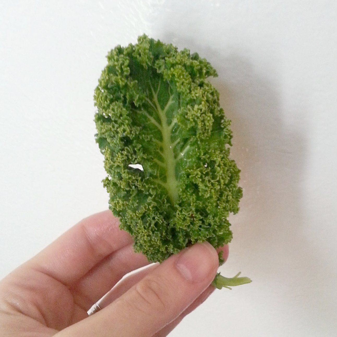 No Need Of Spoil Crispy Kale Chips in the Microwave