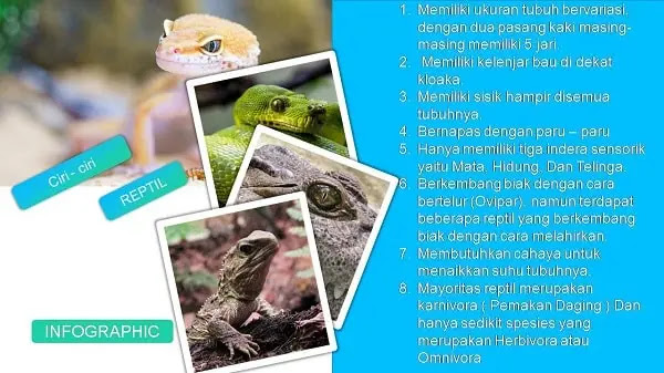 Ciri Ciri Reptil Ciri ciri reptil adalah