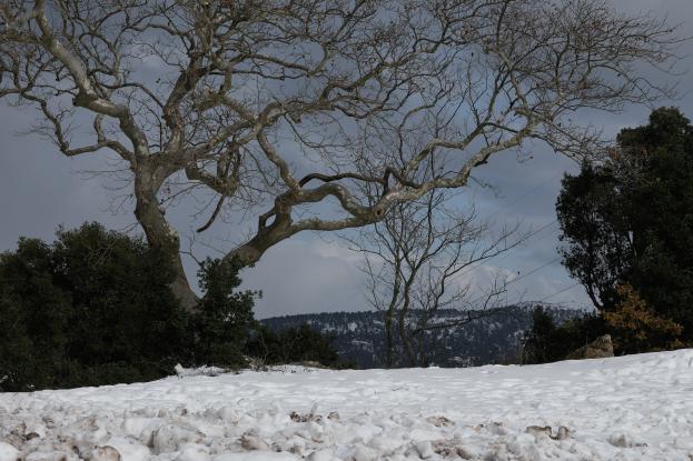 Καιρός: Έφτασαν και στην Αττική τα χιόνια - Η πρόγνωση για τις επόμενες ώρες