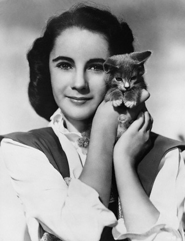 19 Lovely Vintage Portraits of a Young Elizabeth Taylor