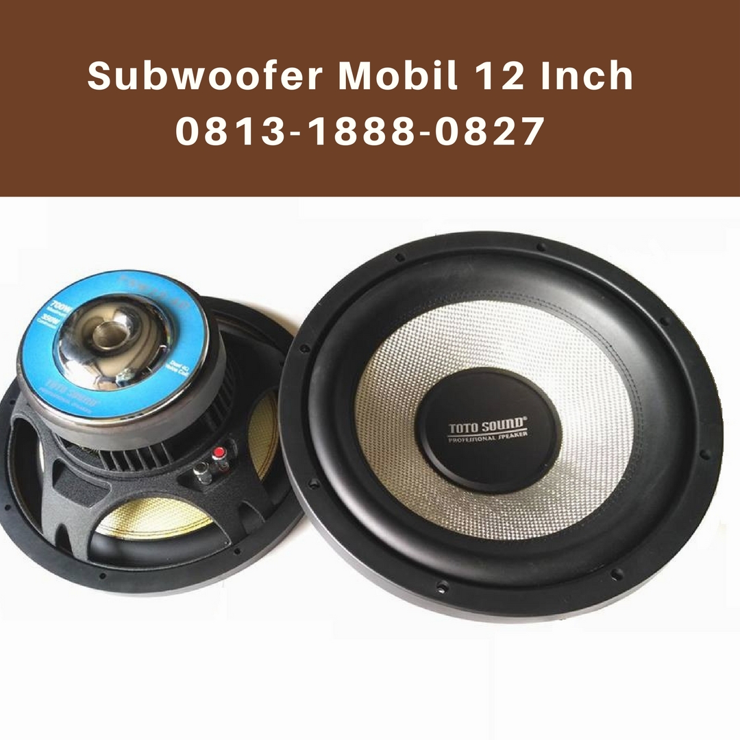 speaker teisco 12 inch