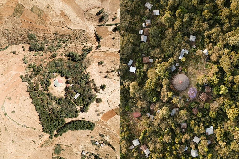 Ethiopia’s Church Forests