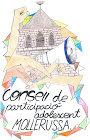 CONSELL ADOLESCENT