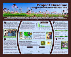 poster presentation scientific posters templates research academic layout better designs biology template conference tips action eye powerpoint ecology evolution catching
