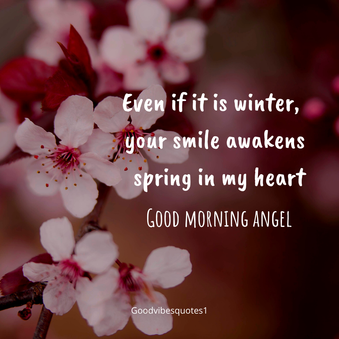 [Latest] 40 Good Morning Messages For Lover/Love, Love Good Morning