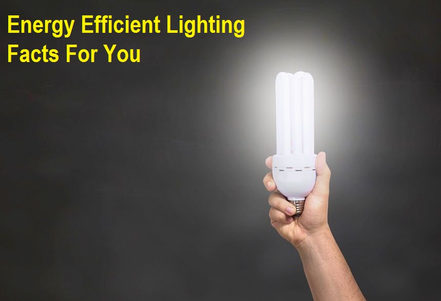 Energy Efficient Lighting Facts For You