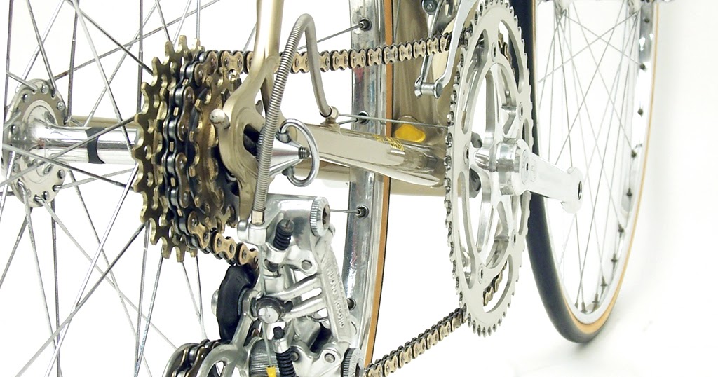 The Bicycle Mechanic How to Diagnose and Fix a Squeaky Chain