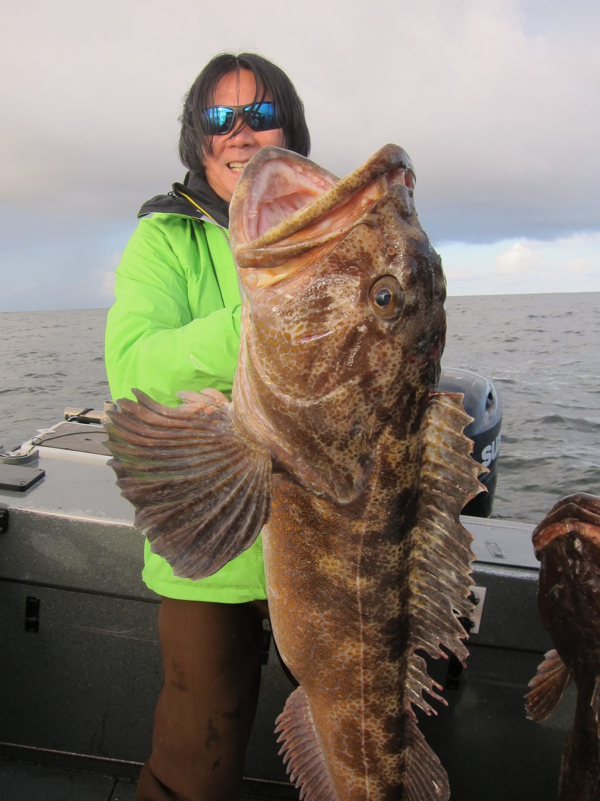 Todds Extreme Fishing Neah bay halibut , lingcod and bottom fish!