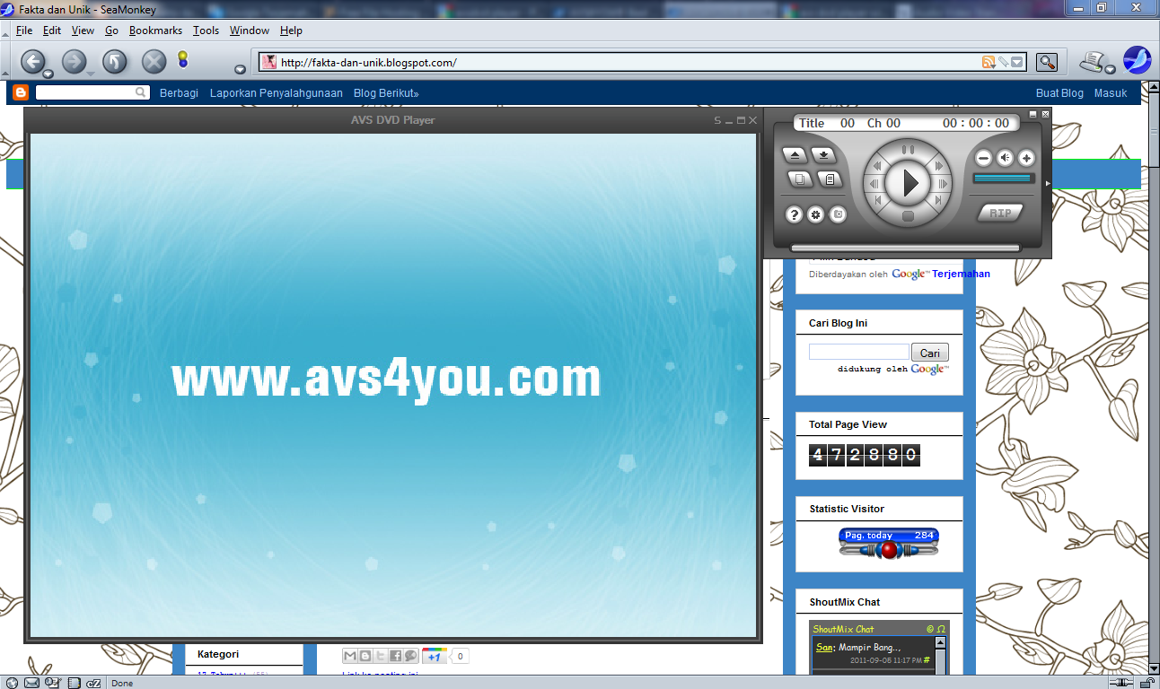 Download AVS DVD Player V2.4.5.153 Audio Video Standard