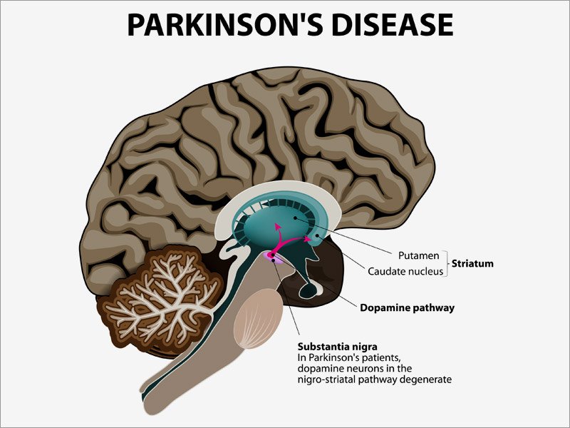 Shake, Rattle, and Roll with the Punches A Wild Ride!