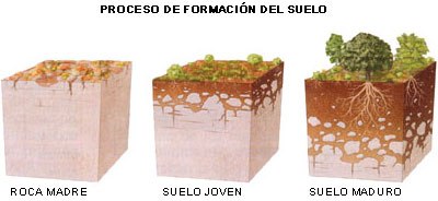 Composition del suelo