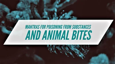 Hindu Tantric Spells for Poisoning from Substances and Animal Bites